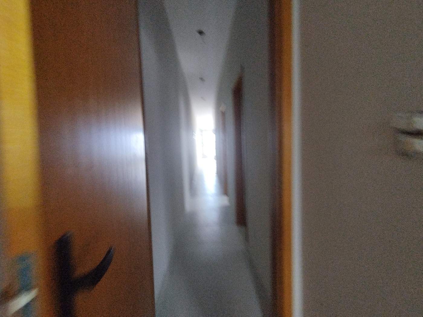Casa, 3 quartos - Foto 20